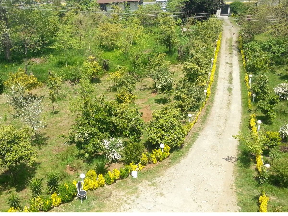 محوطه اطراف