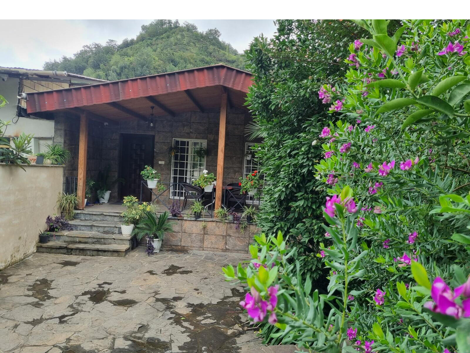 نمای حیاط و ویلا