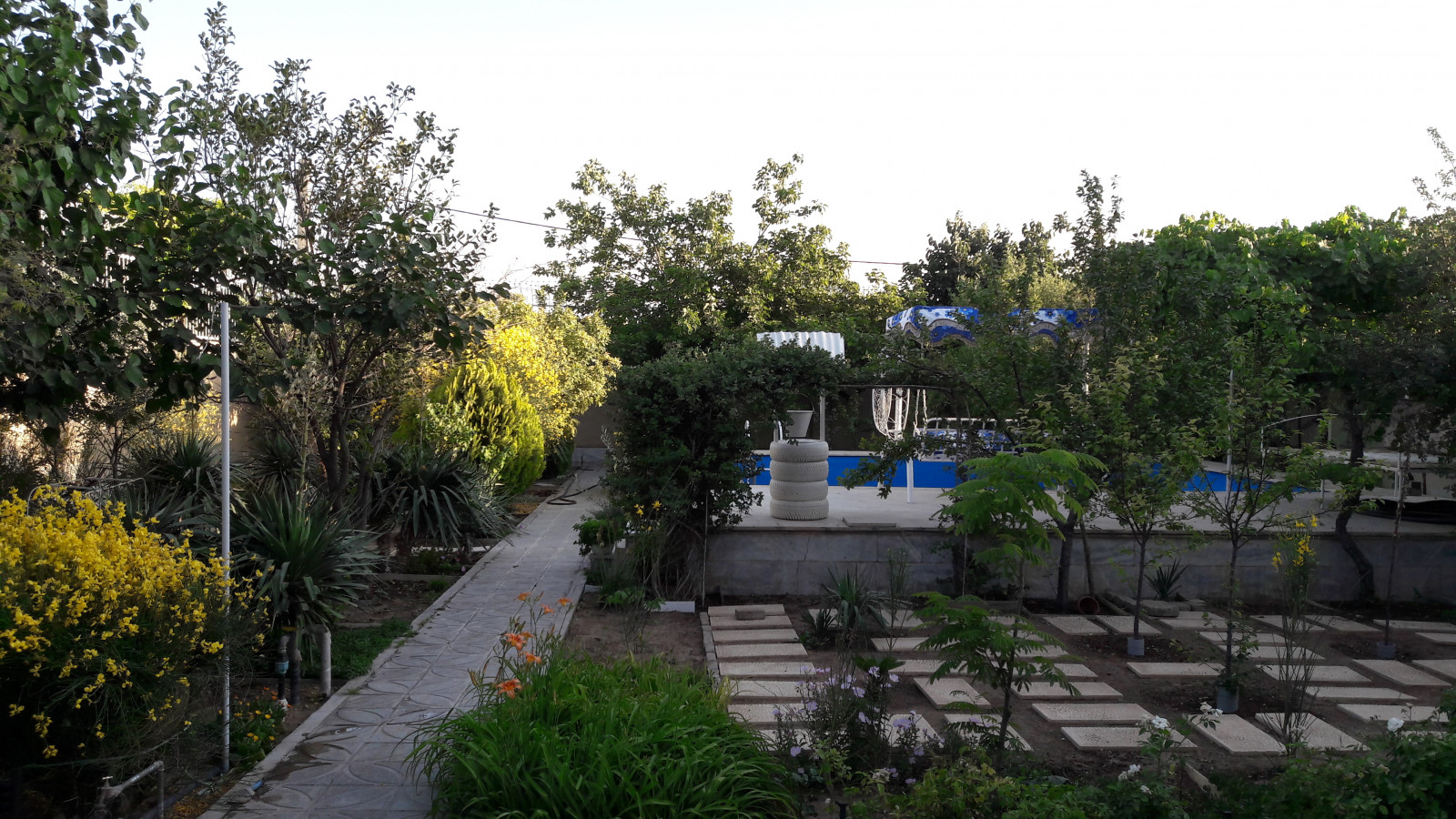 حیاط حیاط