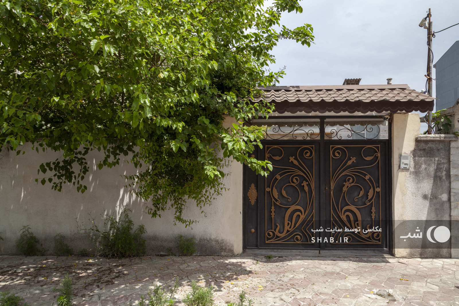 محوطه بیرونی