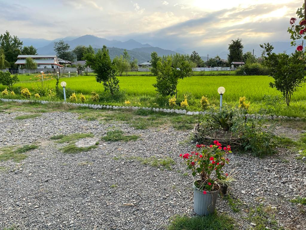 بیرون حیاط بیرون حیاط