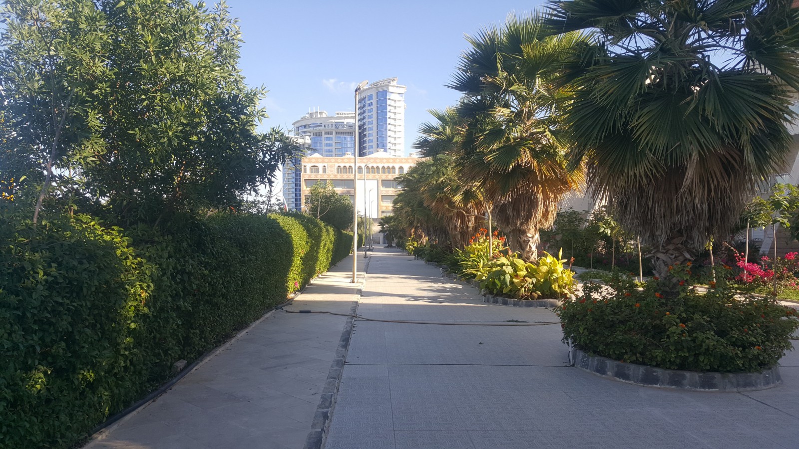 محوطه