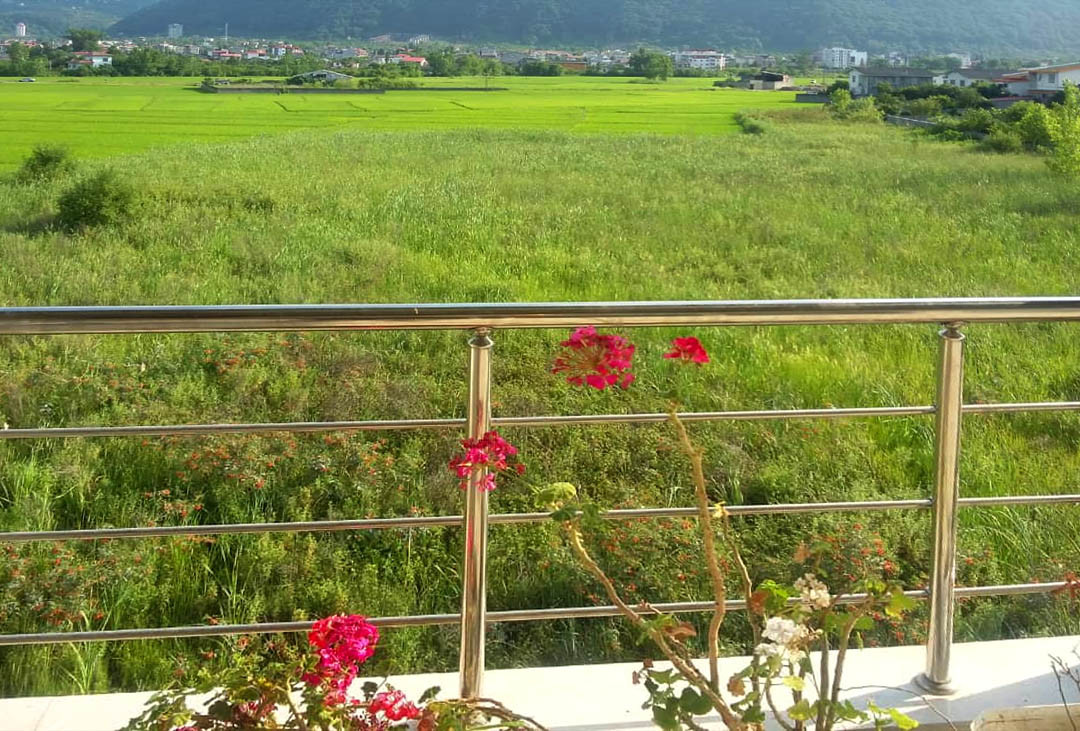 ویوی تراس در فصل تابستان