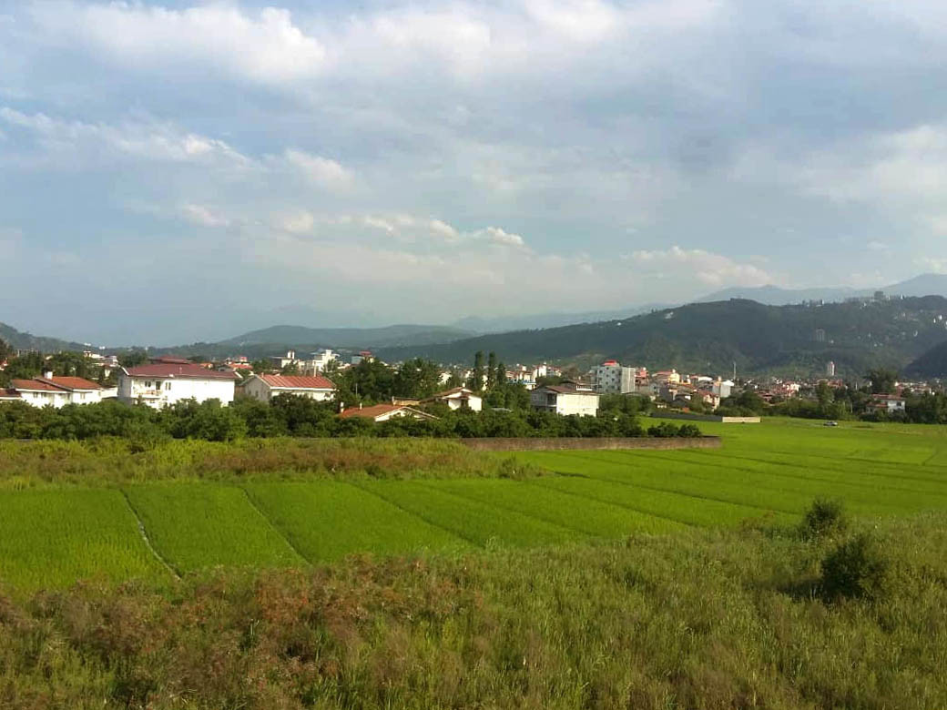 ویوی تراس در فصل تابستان