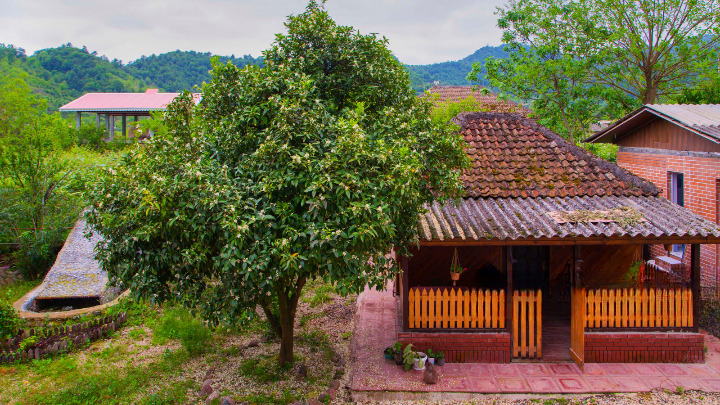 نمای ساختمان نمای ساختمان