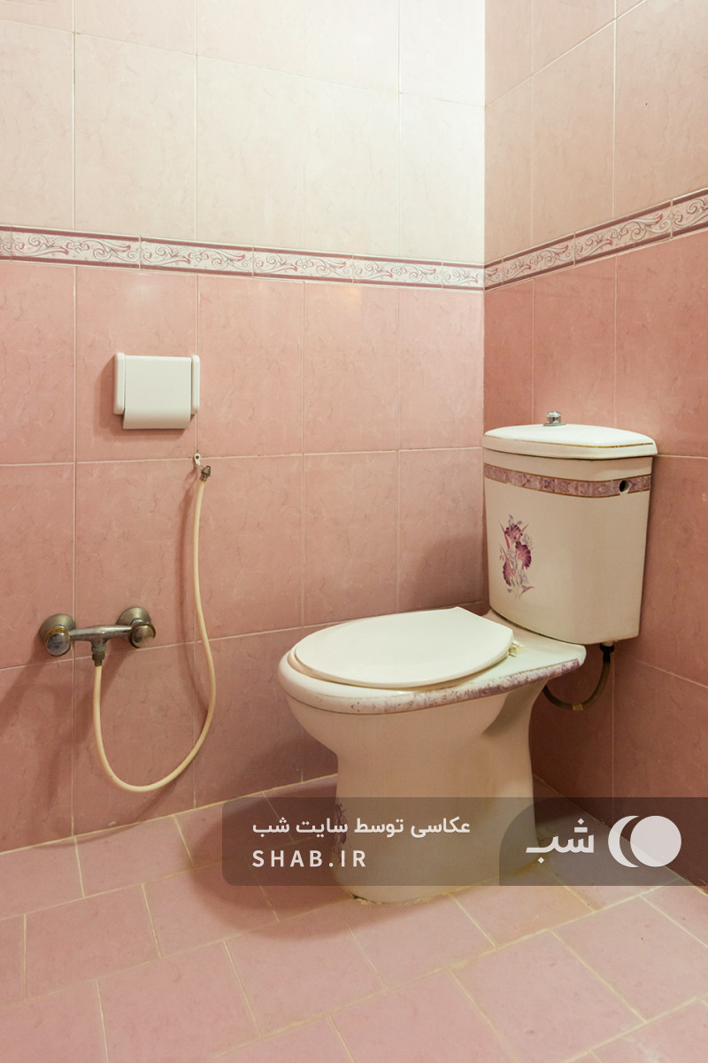 سرویس بهداشتی