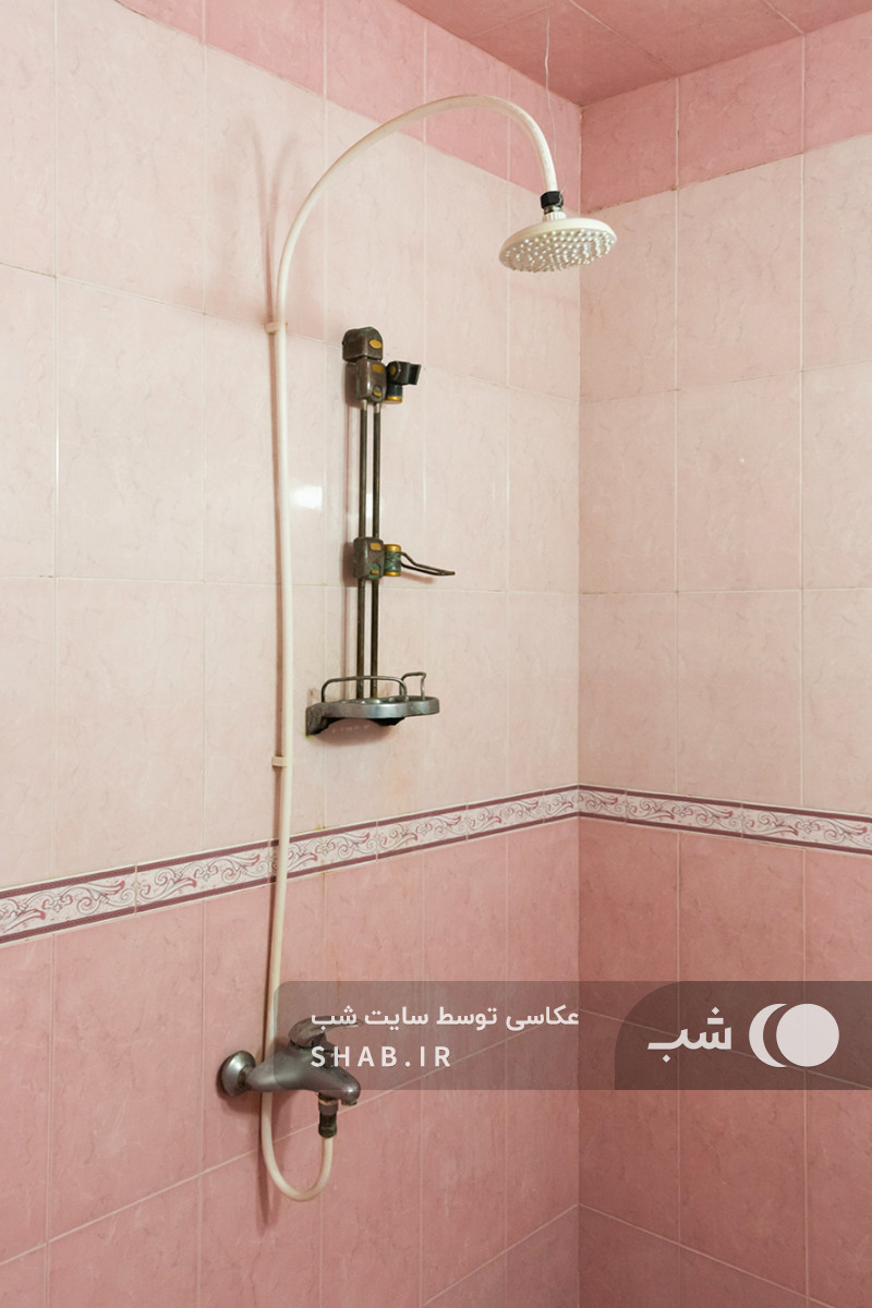 سرویس بهداشتی