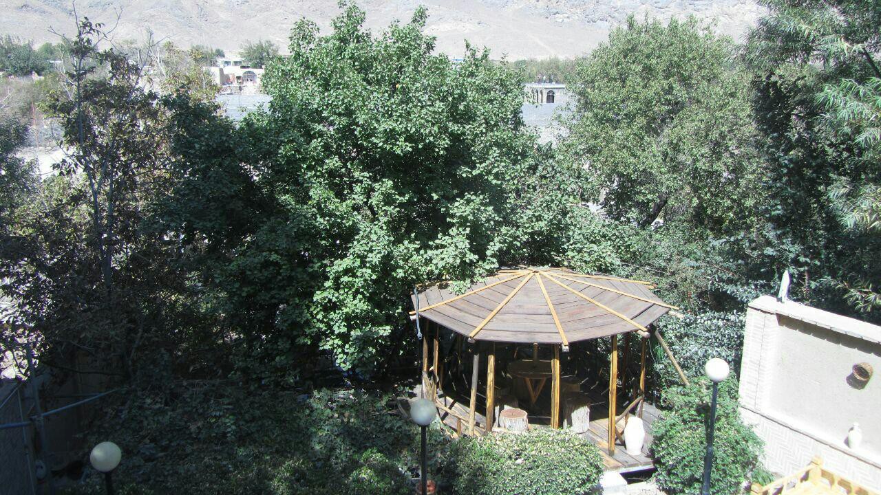 حیاط