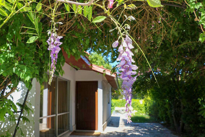 نمای ساختمان نمای ساختمان