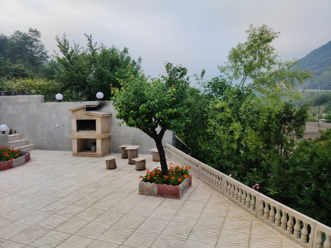 حیاط