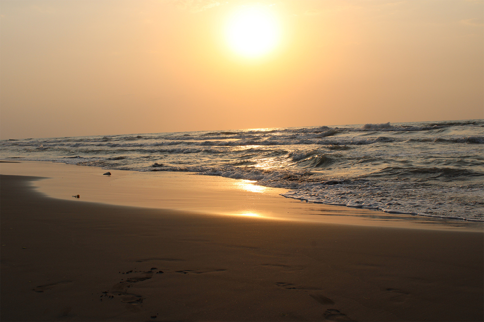 نمای ساحل اقامتگاه دارای ساحل شنی وسیع . در ساحل موتور چهار چرخ / قایق سواری / جت اسکی / شاتل / اسب سواری / بلال فروشی و کافی شاپ موجود می باشد .