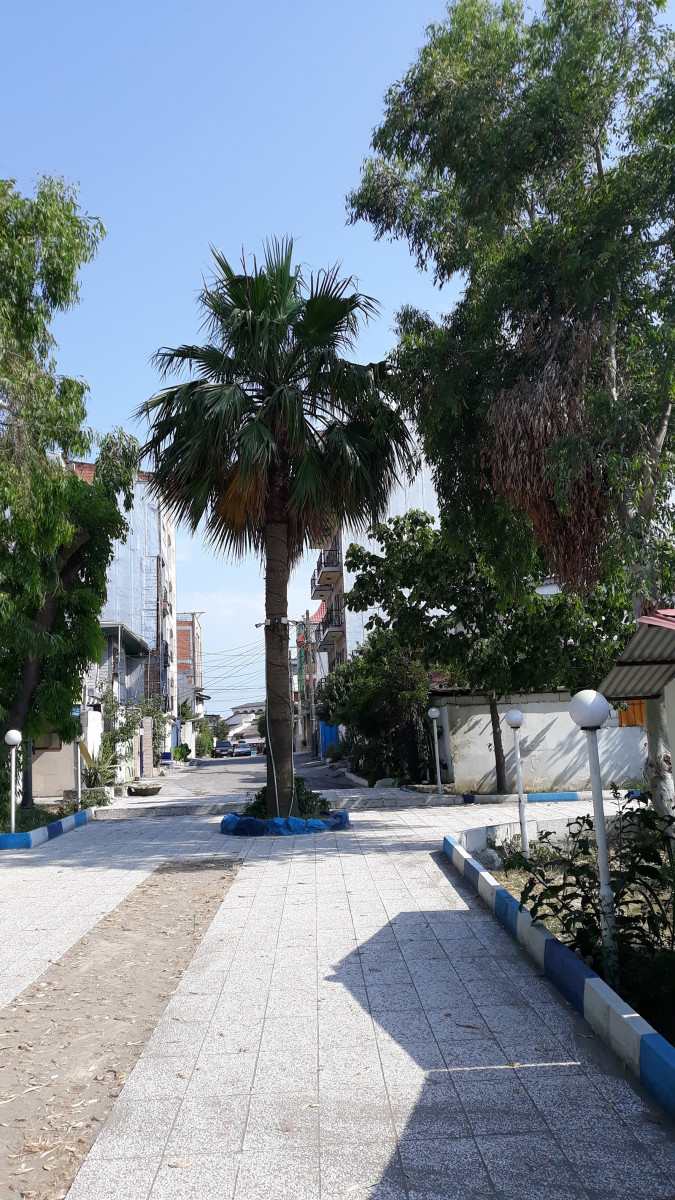 در منطقه پارک سر سبز لاله همراه با وسایل بازی برای بچه های کوچک وجود دارد