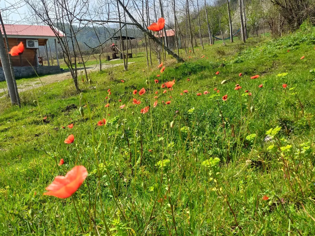 نمای بیرونی ساختمان