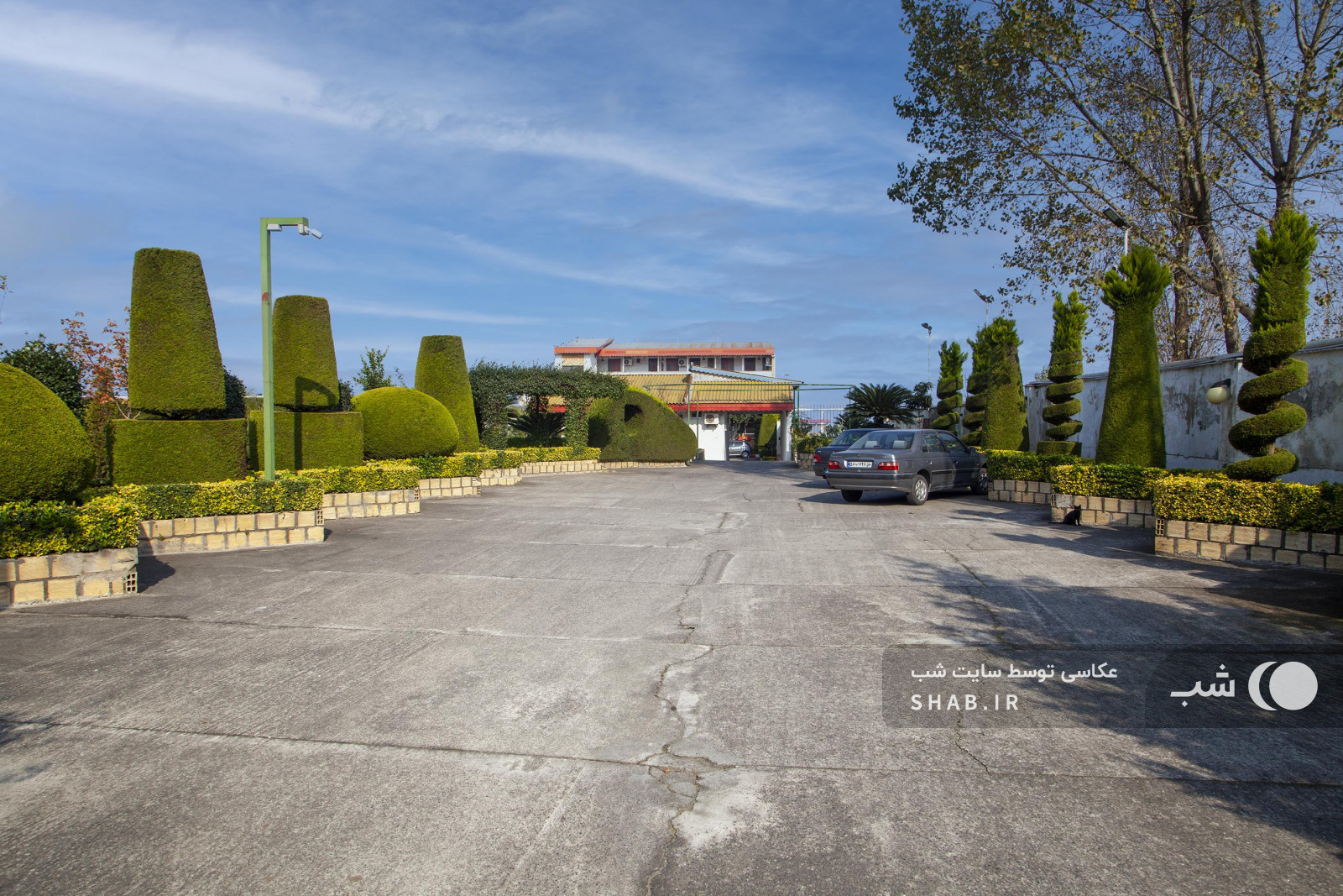 محوطه حیاط