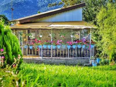 باغ ویلای تک خواب جنگلی دربست باغ ویلای تک خواب جنگلی دربست