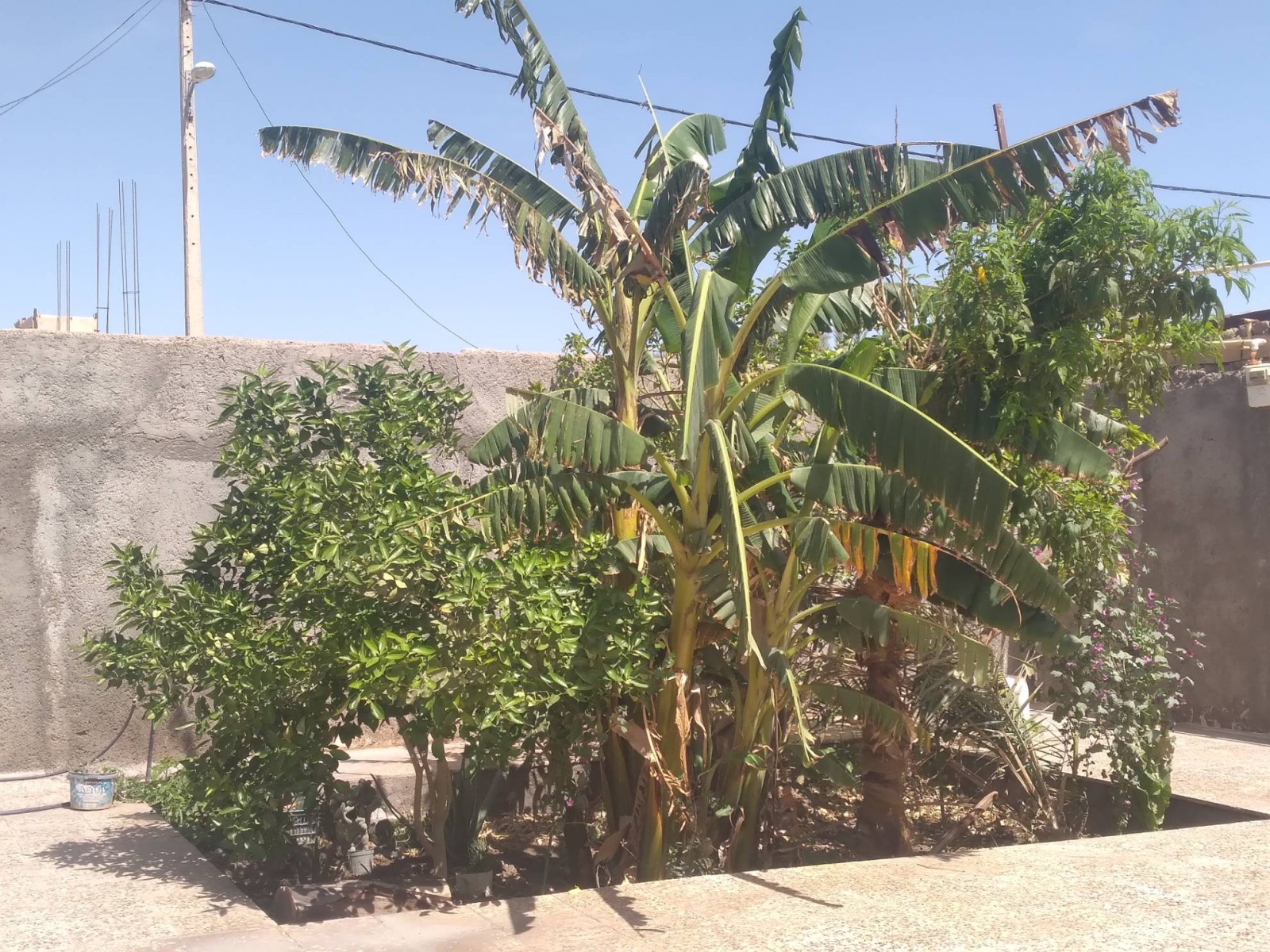 نمای بیرونی ساختمان