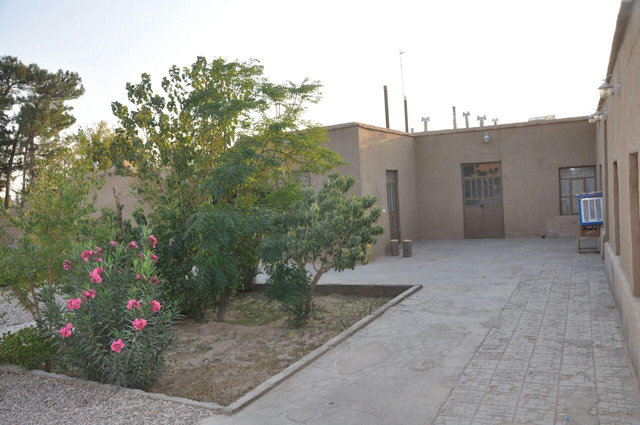 حیاط