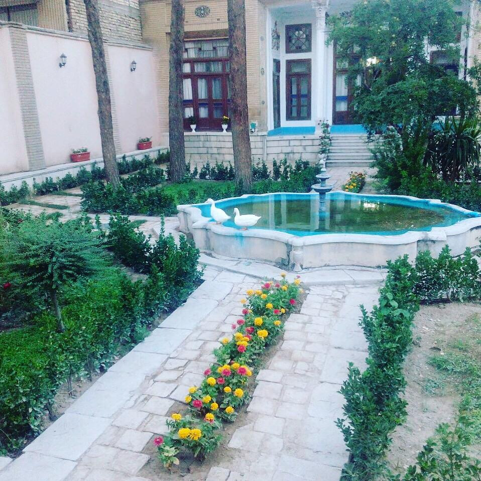 حیاط