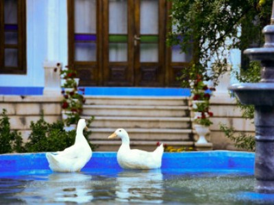 عمارت مختار "اتاق شماره (4)"