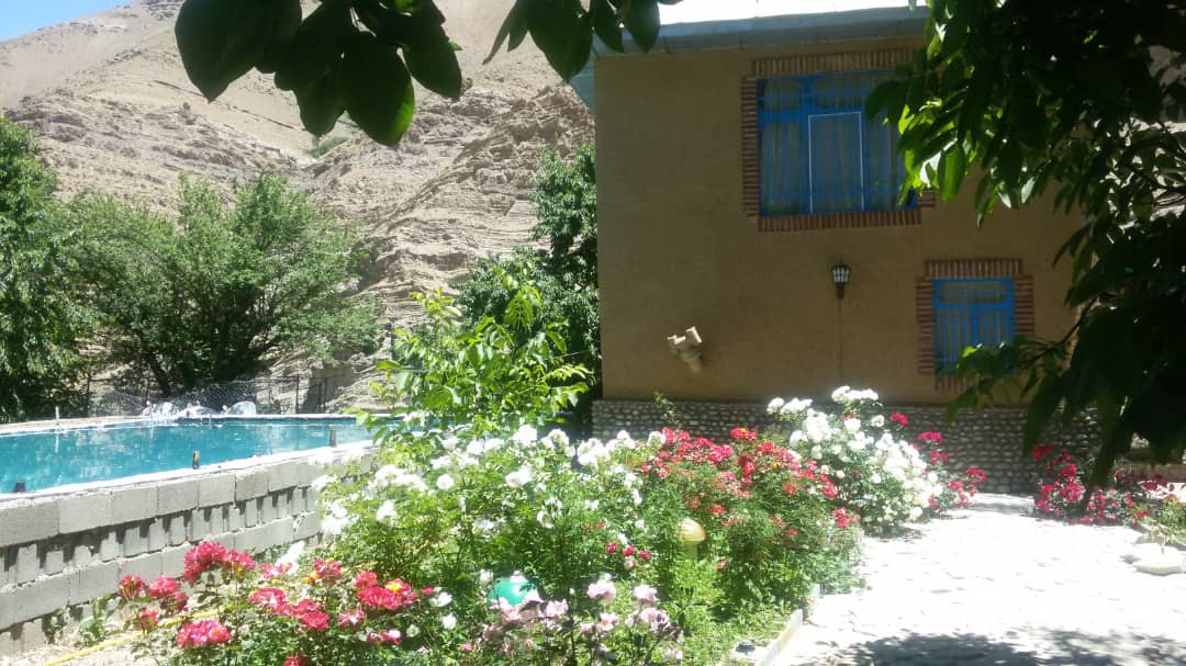 حیاط