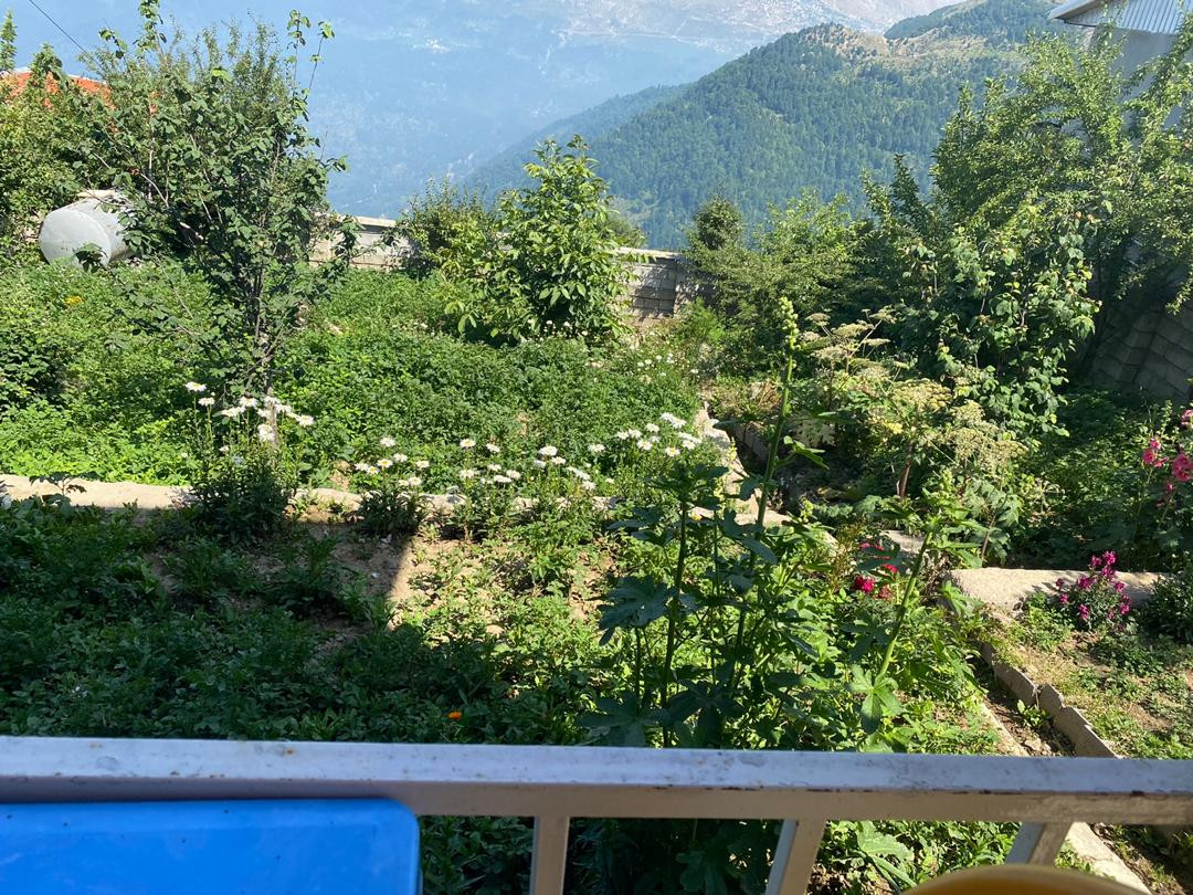 ویوی تراس