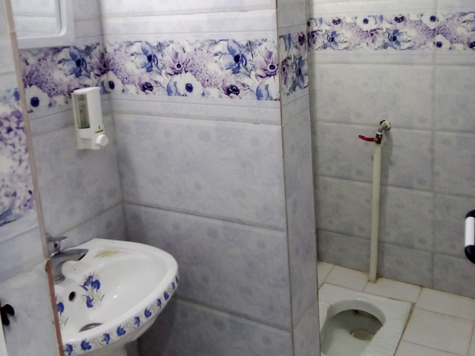 سرویس بهداشتی