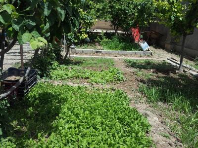 ویلا شخصی راحت و دلباز خمین