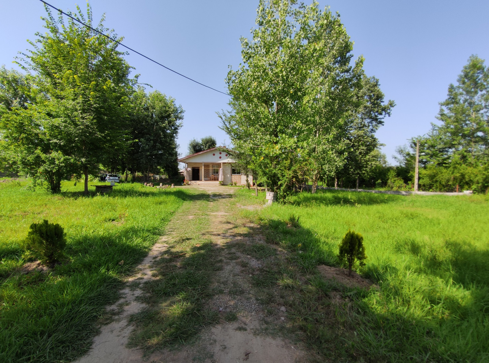 ورودی ورودی