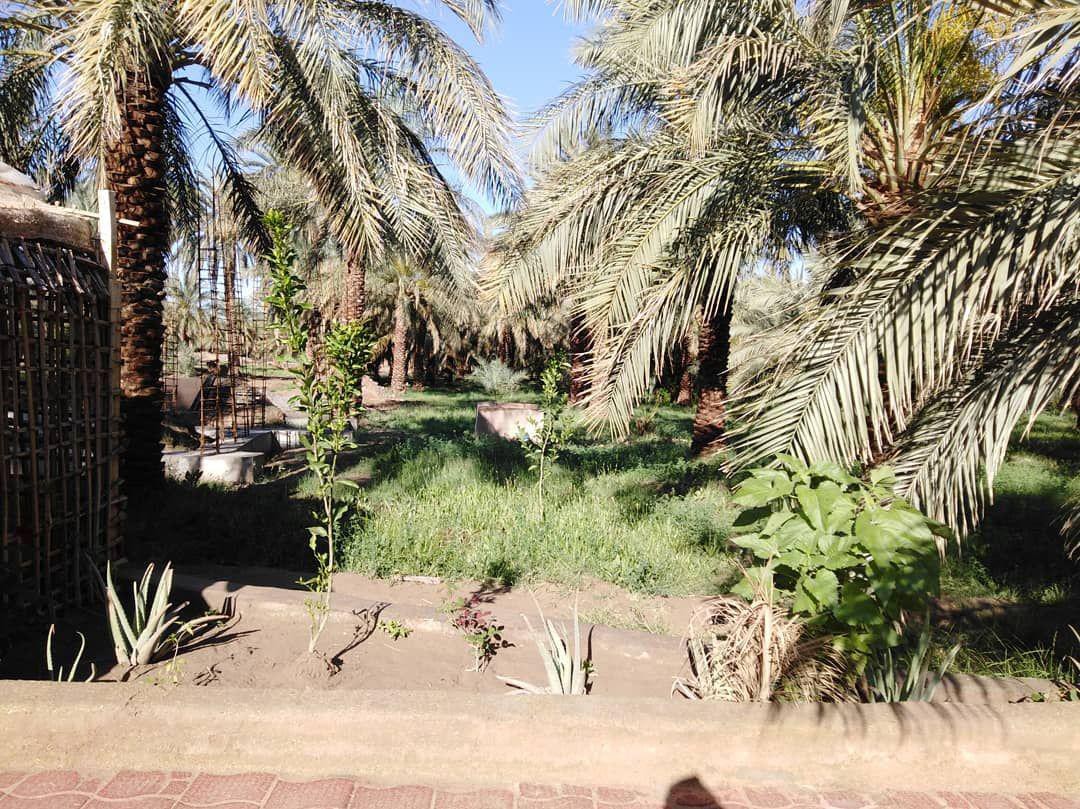 محوطه