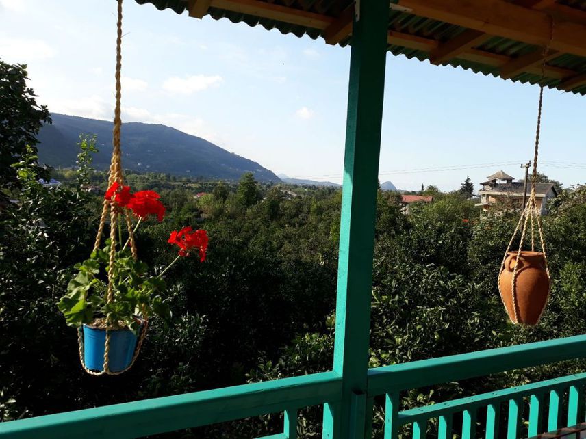 ویو تراس ویو تراس