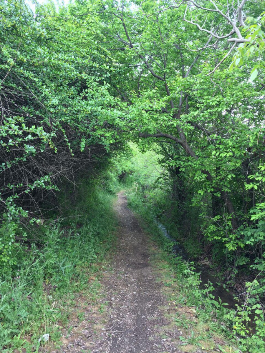 باغ های اطراف اقامتگاه