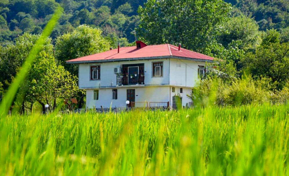 نمای تابستانی نمای تابستانی