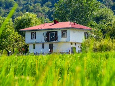 ویلا باغ بزرگ با 2 هکتار زمین