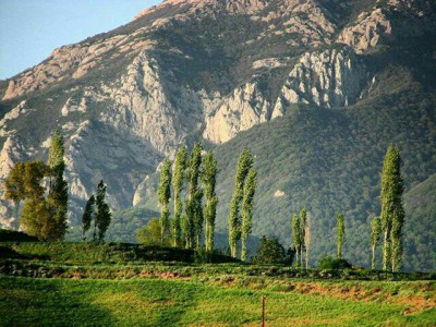 اقامتگاه بومگردی "وامنان" اتاق (1)