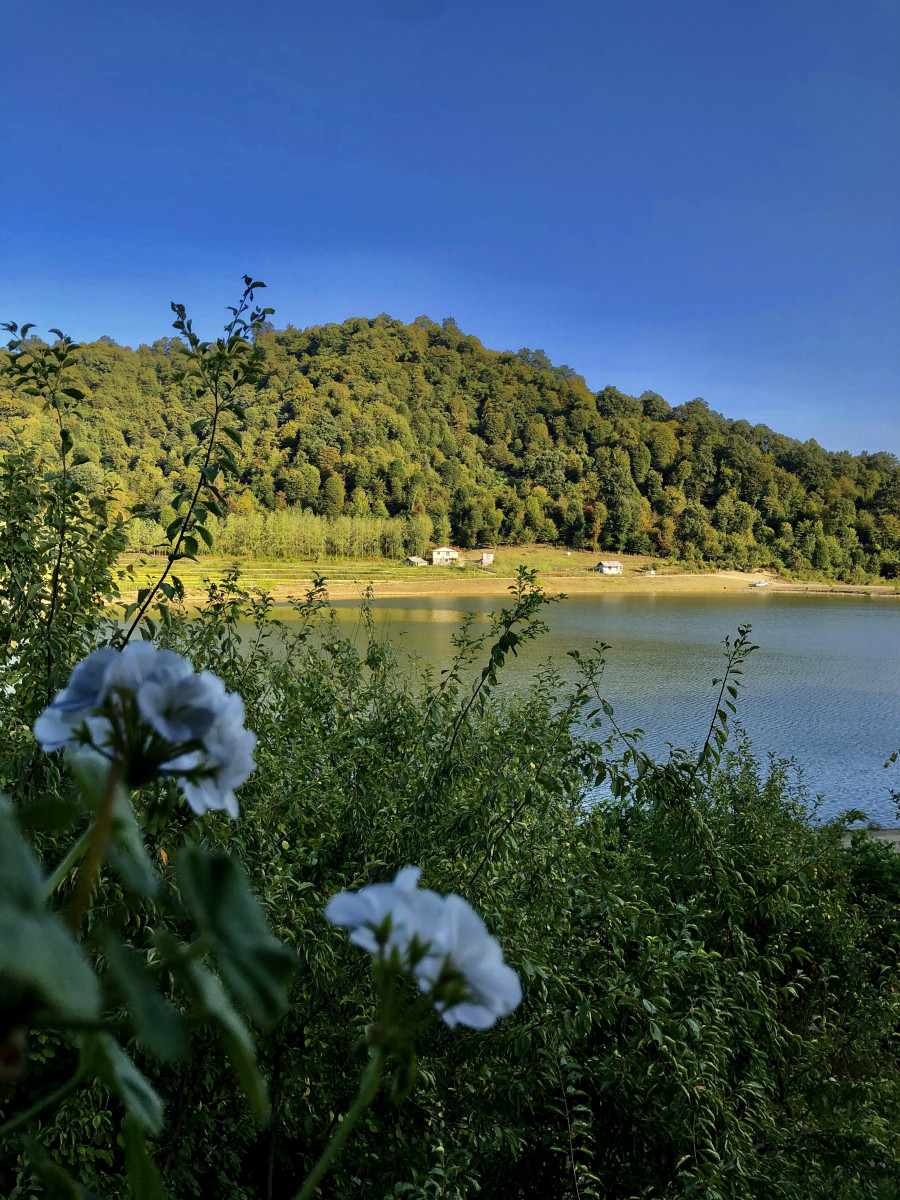 ویو بالکن کلبه