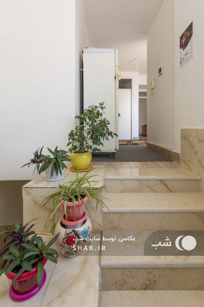 ورودی ورودی