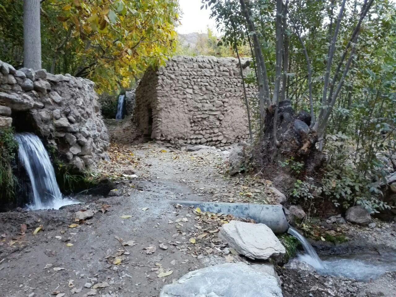 حیاط