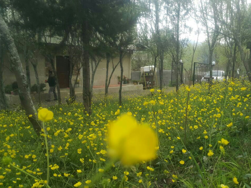 نمای بیرونی ساختمان