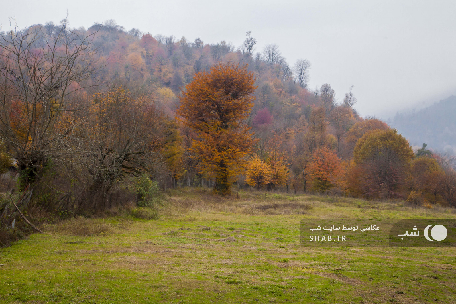 طبیعت پاییزی ویلا