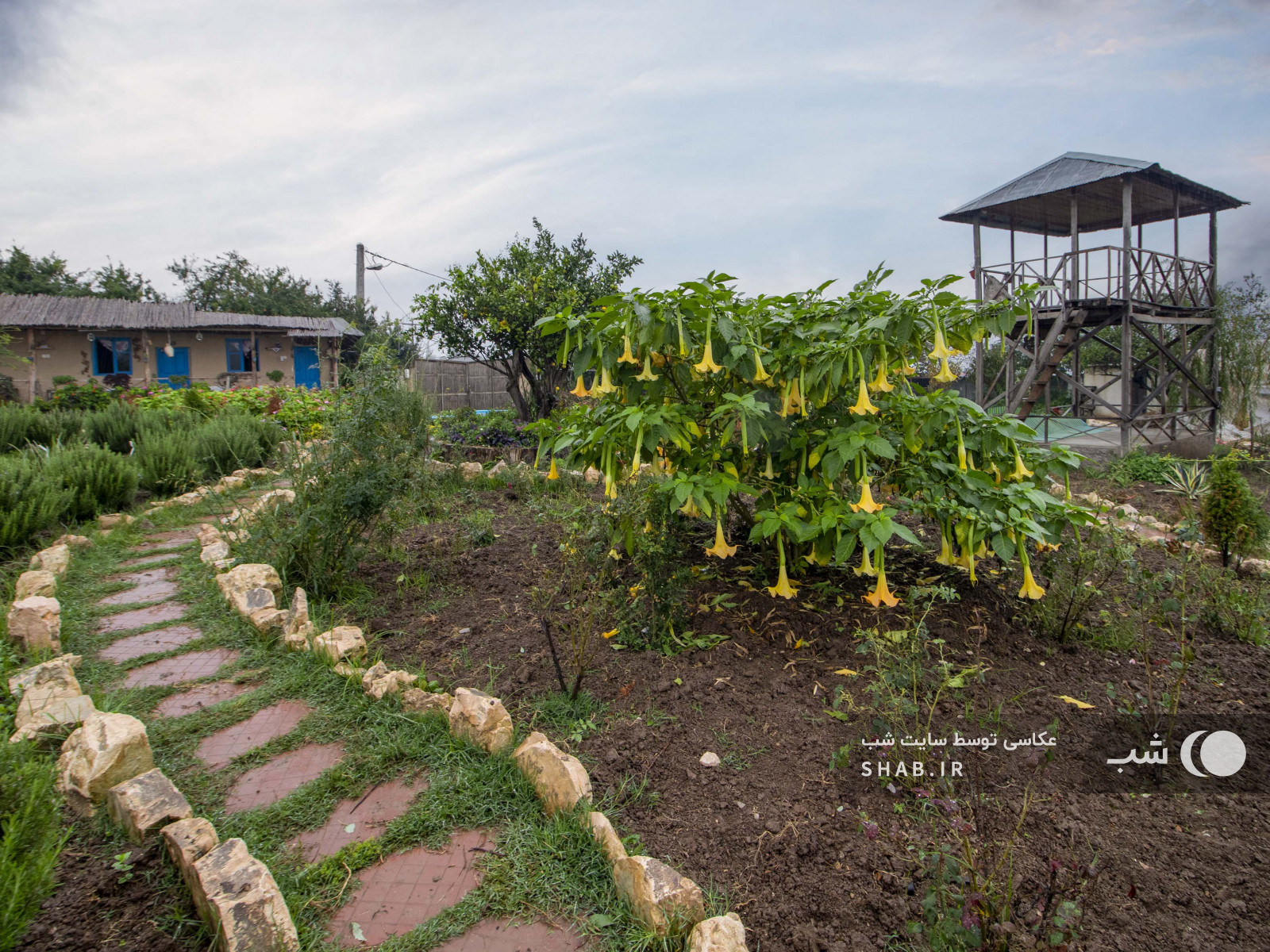 محوطه اقامتگاه