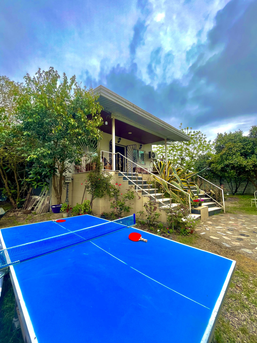 میز پینگ پنگ