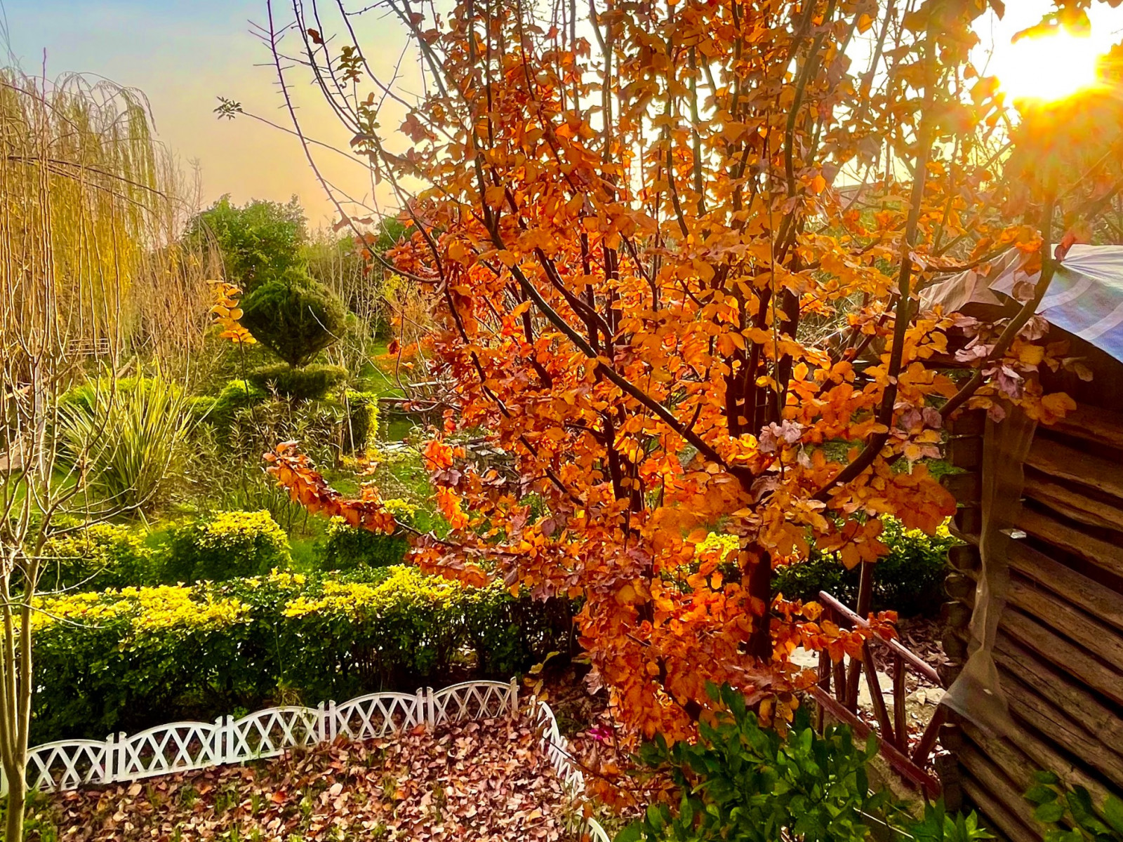 نمایی از حیاط ویلا