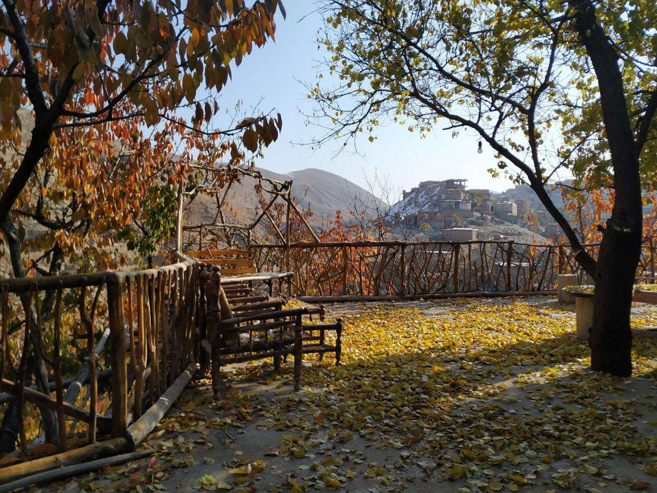 حیاط