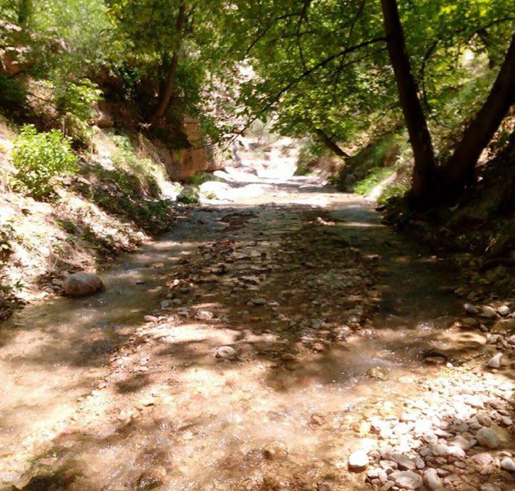 حیاط