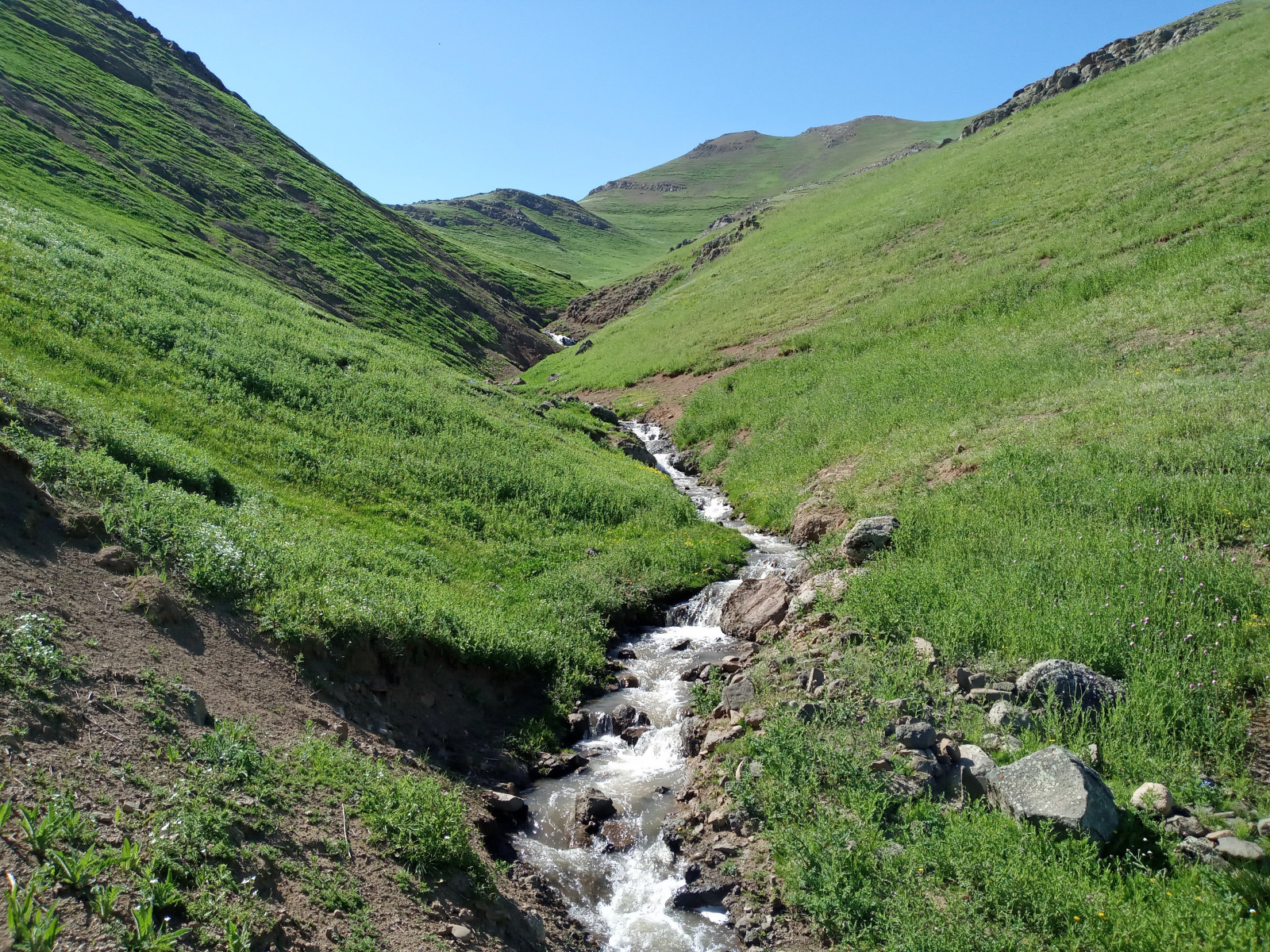 محوطه اقامتگاه