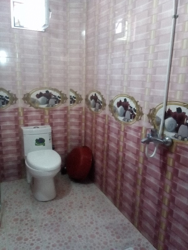 سرویس بهداشتی