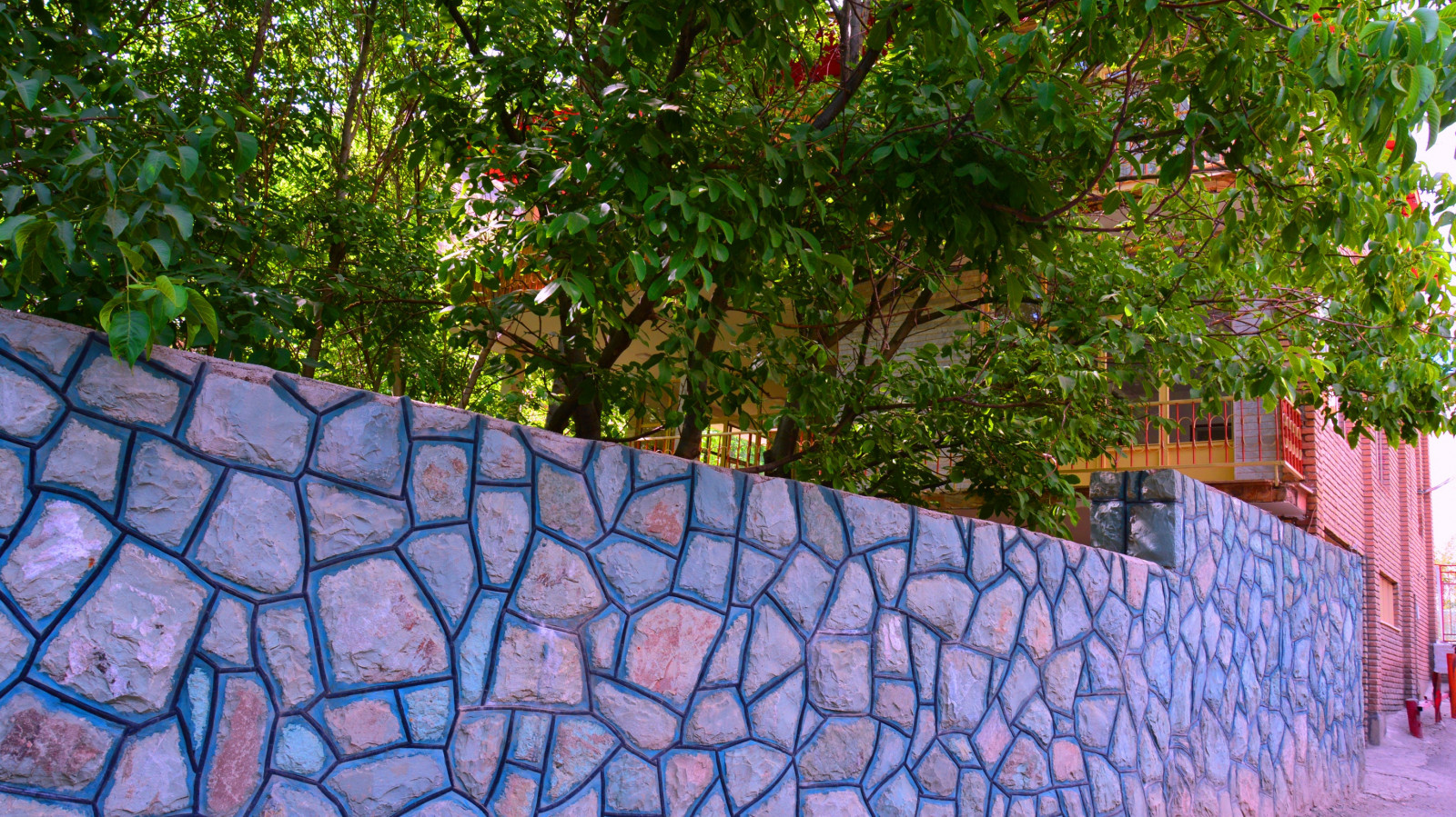 نمای حیاط و ویلا