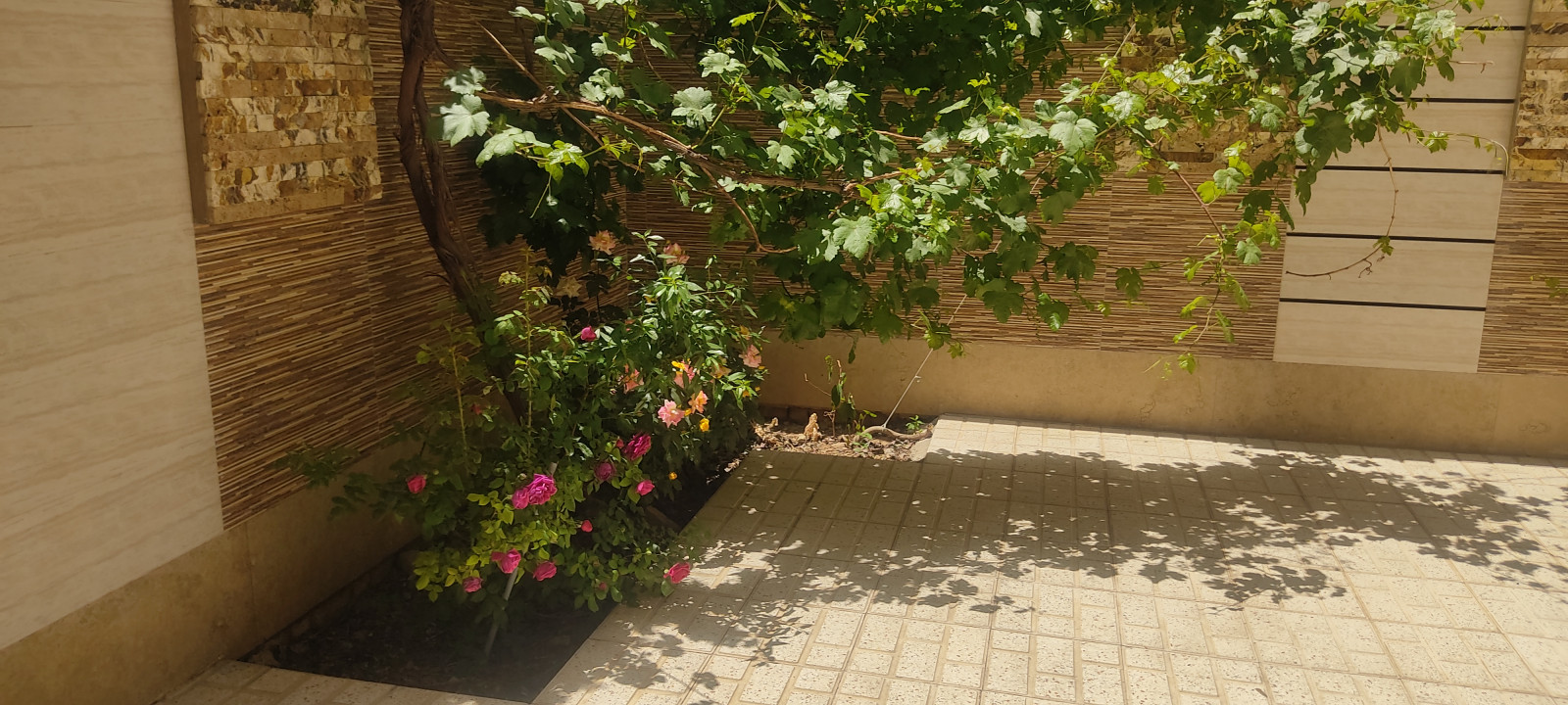 فضای حیاط