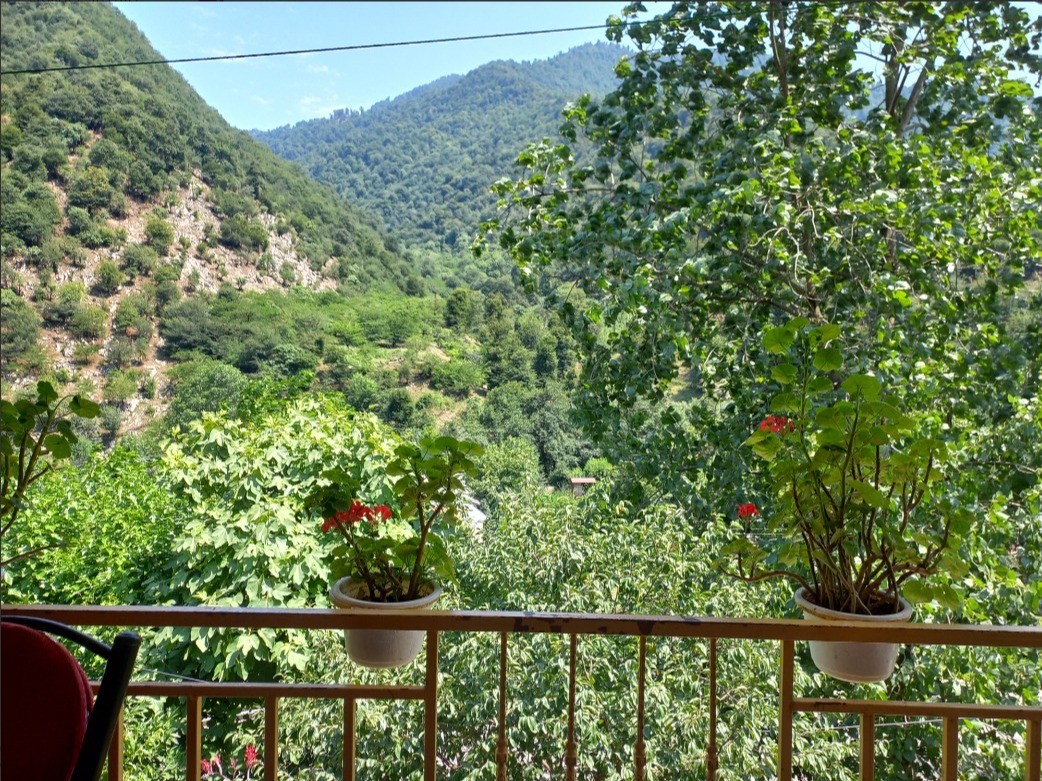 ویو تراس ویو تراس