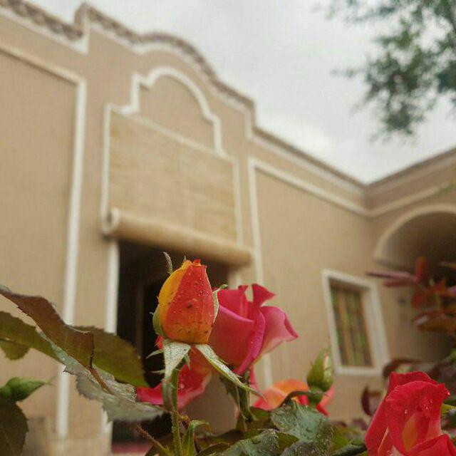 محوطه